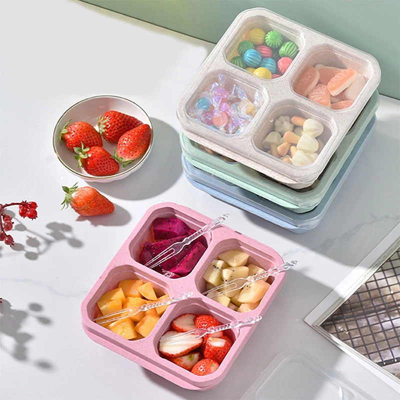 Food Storage Freezer - Boîte de Rangement des citrouille à