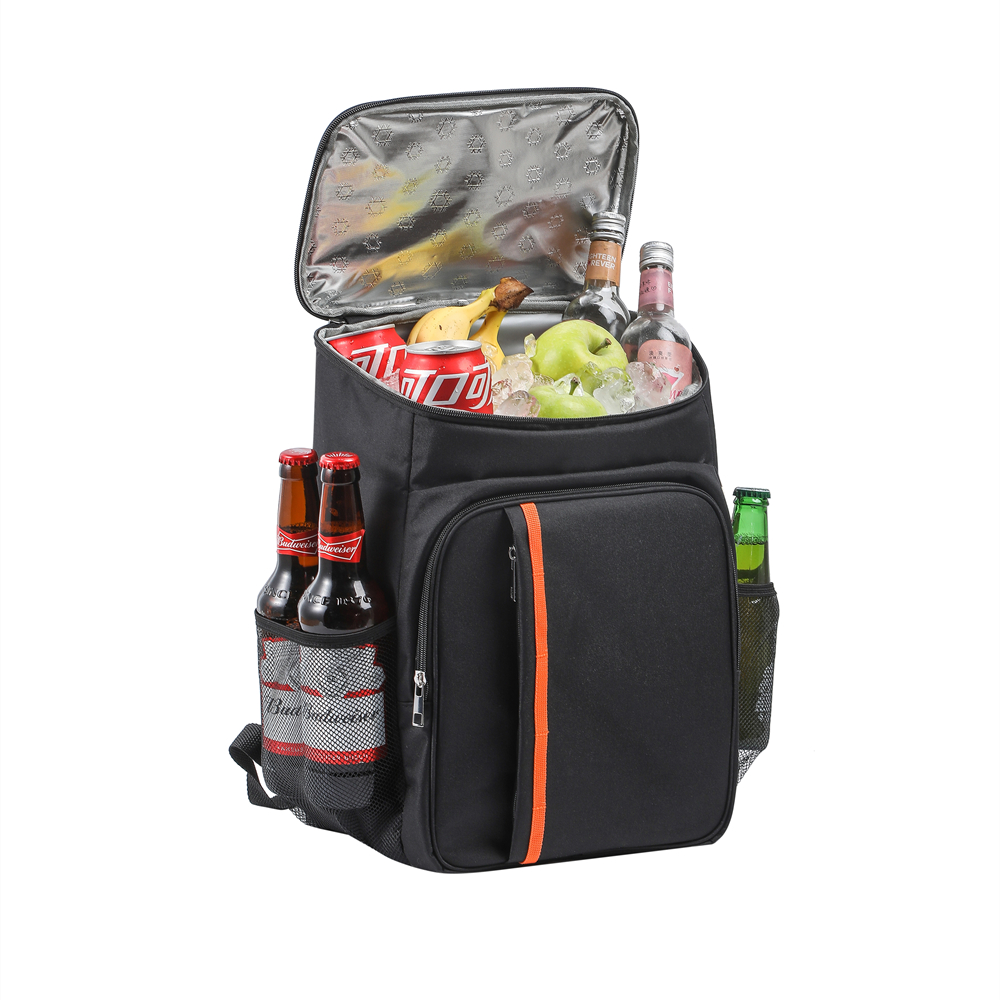Sac Isotherme Portable 18L pou - Food Storage Hiking avis et prix