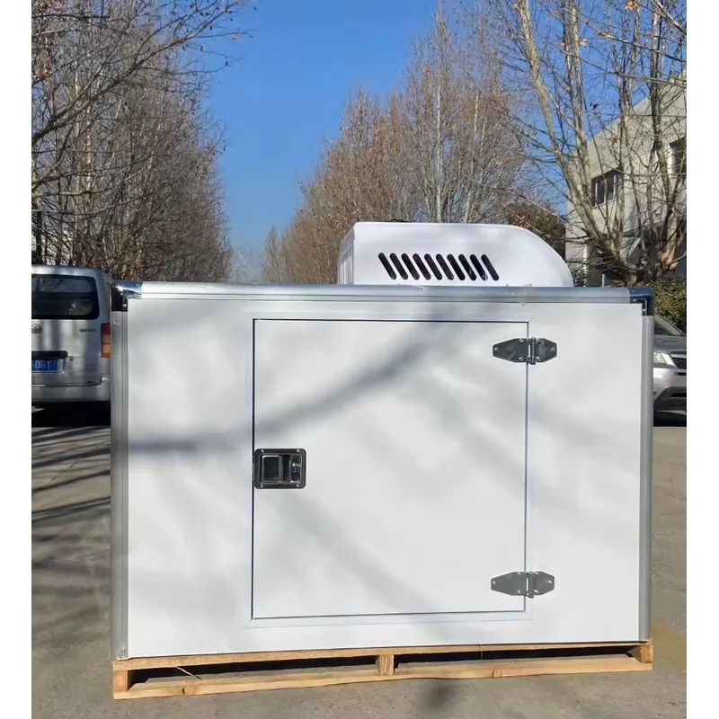 Tricycle réfrigéré à froid, co - Food Storage Freezer avis et prix