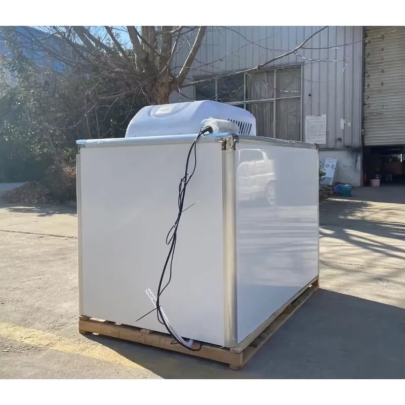 Tricycle réfrigéré à froid, co - Food Storage Freezer avis et prix