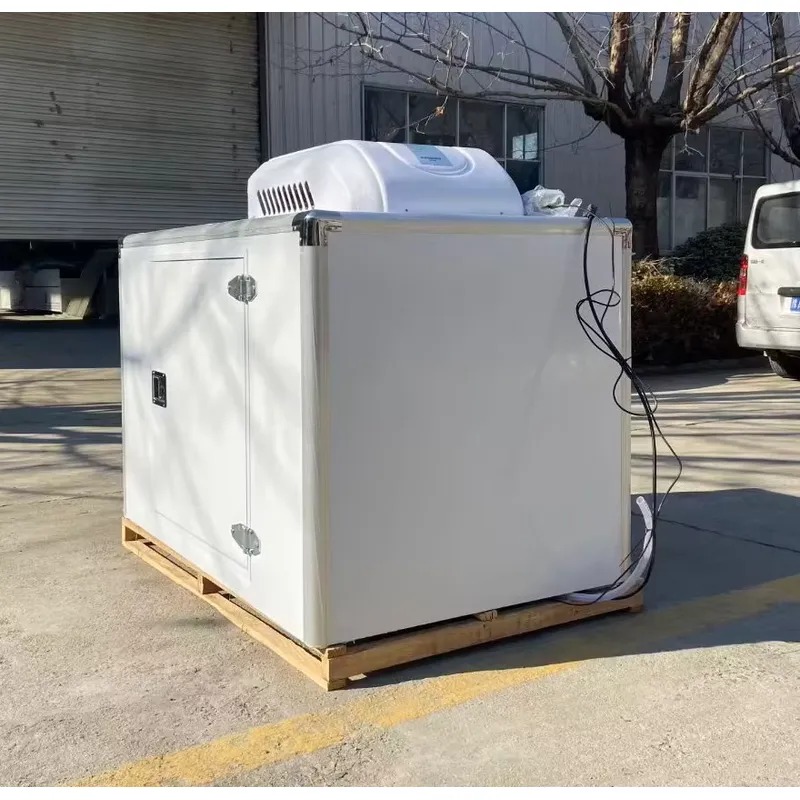Tricycle réfrigéré à froid, co - Food Storage Freezer avis et prix