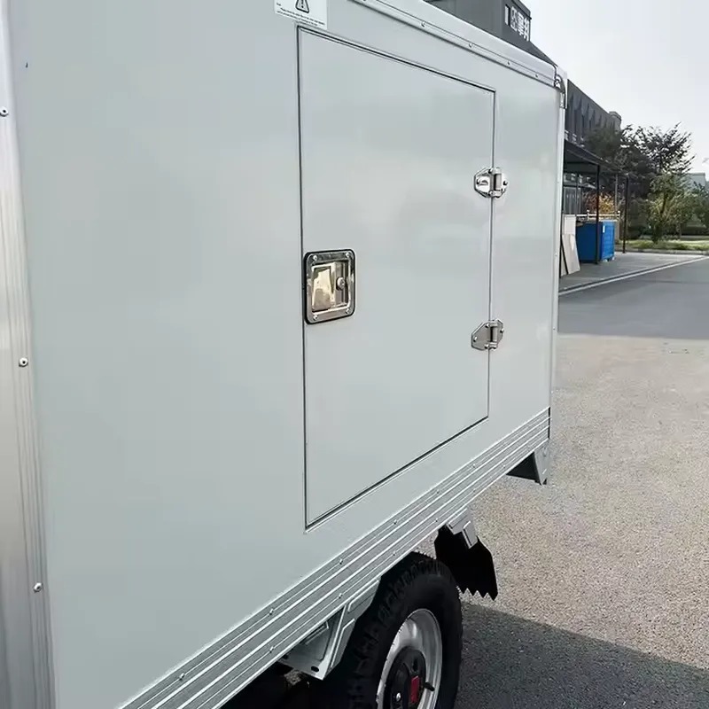Tricycle réfrigéré à froid, co - Food Storage Freezer avis et prix