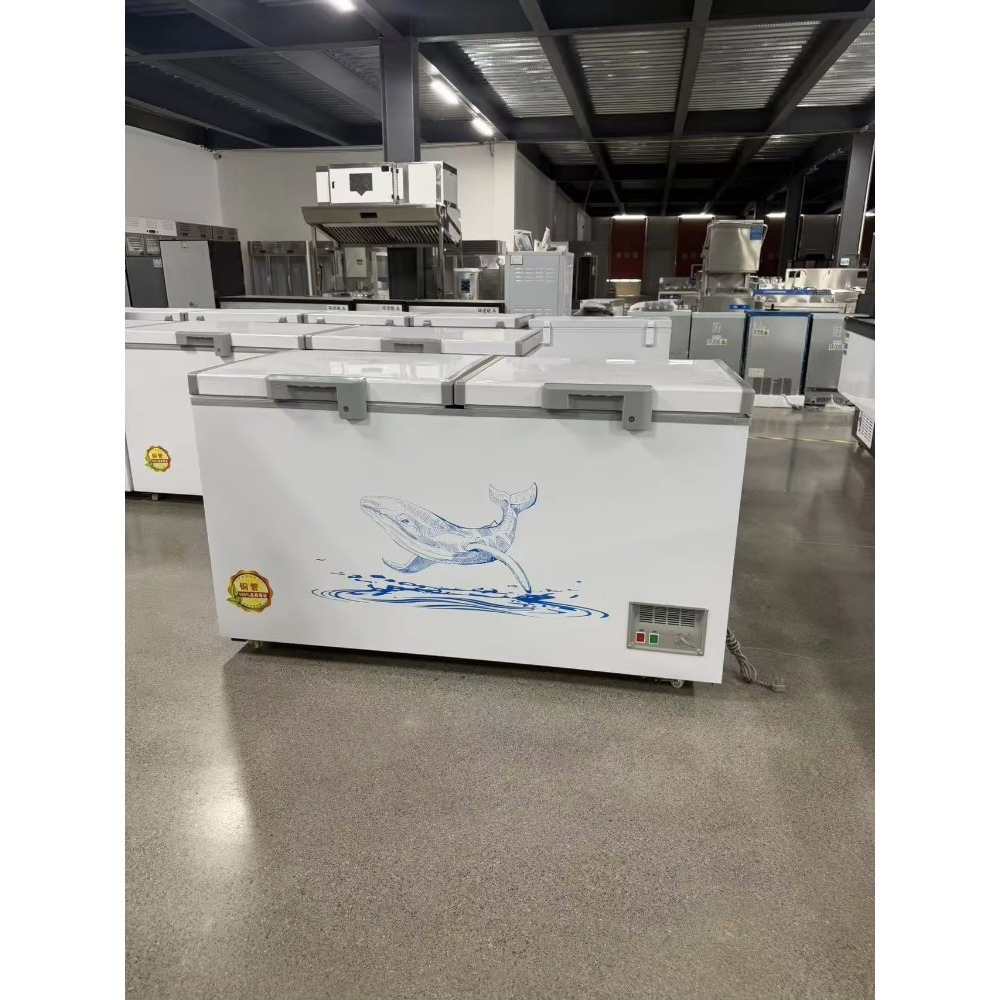 Congélateur horizontal sur mes - Food Storage Freezer avis et prix