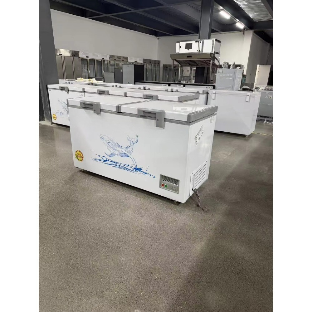 Congélateur horizontal sur mes - Food Storage Freezer avis et prix