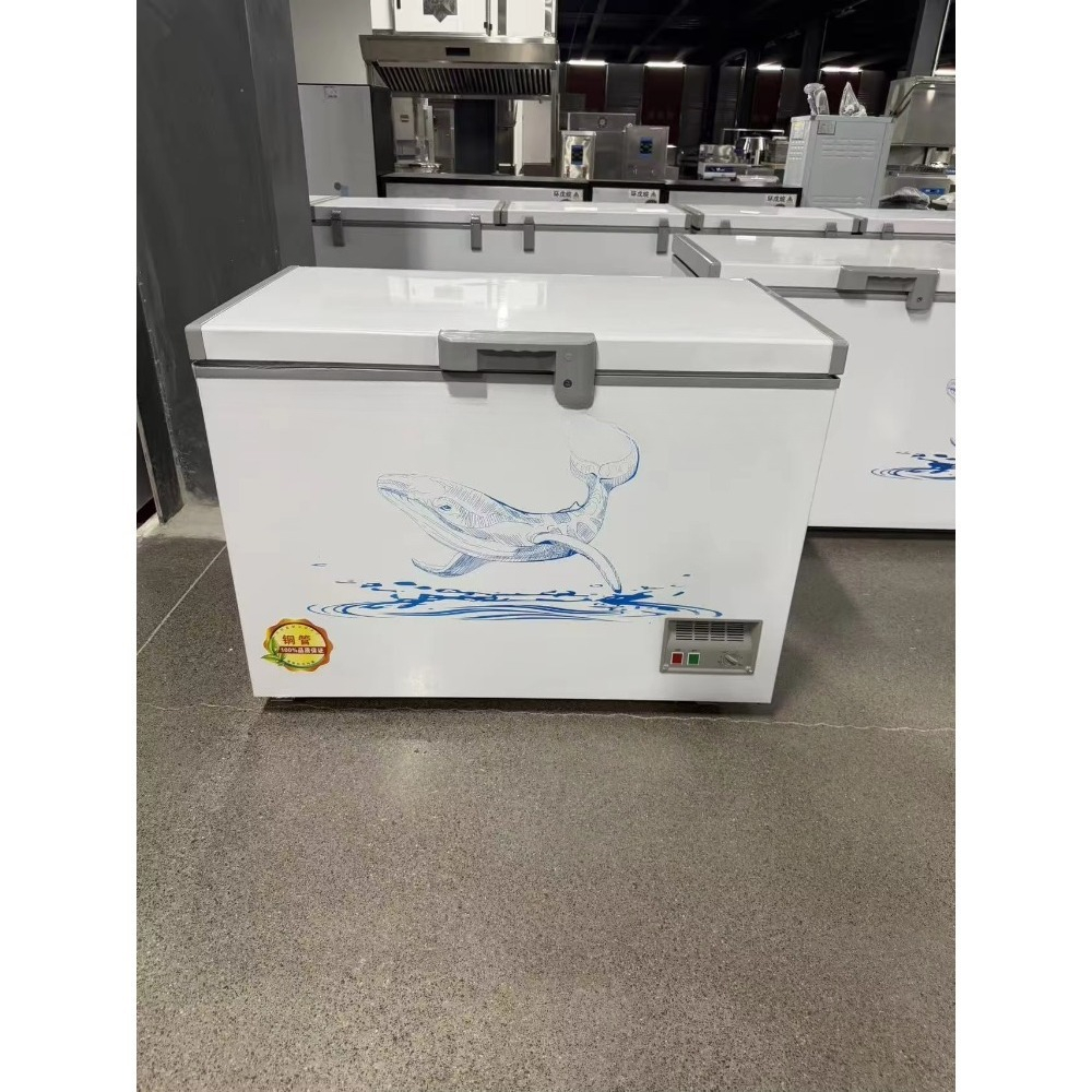 Congélateur horizontal sur mes - Food Storage Freezer avis et prix